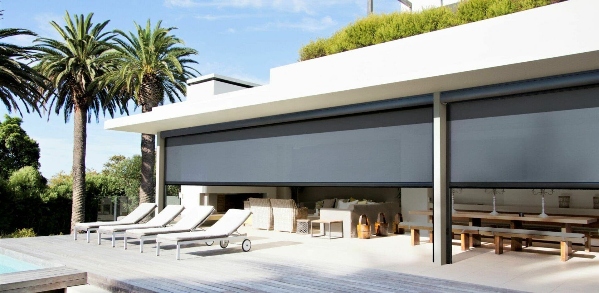 Motorized Screens